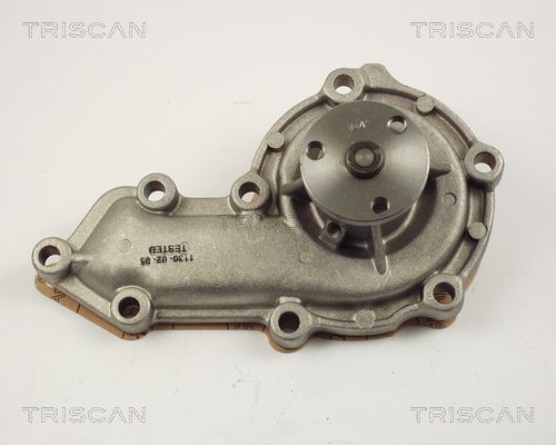 Wasserpumpe TRISCAN 8600 17008