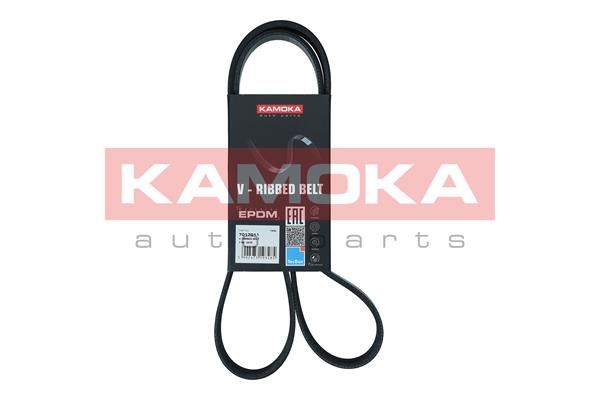Keilrippenriemen KAMOKA 7017011