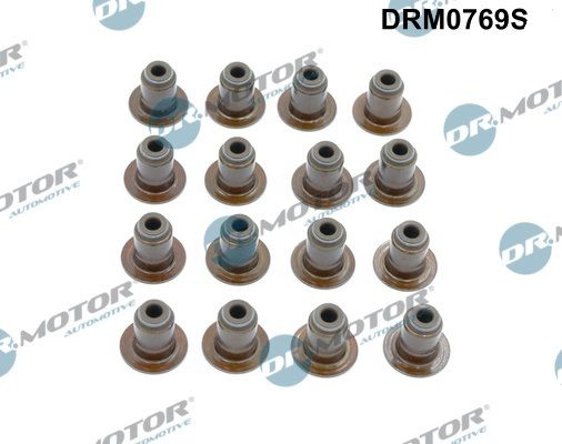 Dichtungssatz, Ventilschaft DR.MOTOR AUTOMOTIVE DRM0769S