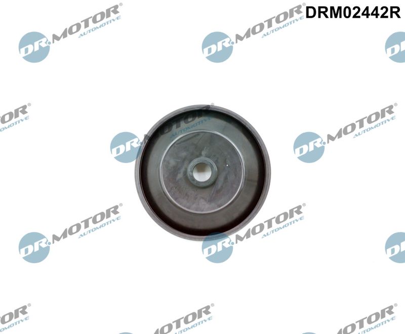 Ventil Luftsteuerung-Ansaugluft Dr.Motor Automotive DRM02442R