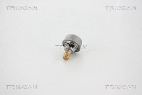 Kühlwasserthermostat TRISCAN 8620 13082