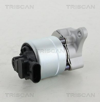 AGR-Ventil TRISCAN 881328008