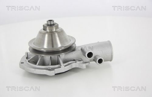 Wasserpumpe TRISCAN 8600 24895