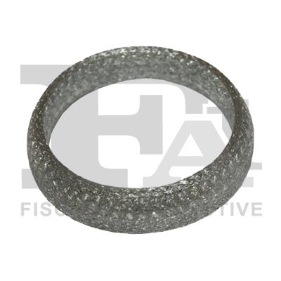 Dichtring Abgasrohr FA1 791-975