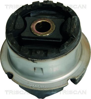 Lager Achskörper Hilfsrahmen TRISCAN 850038814