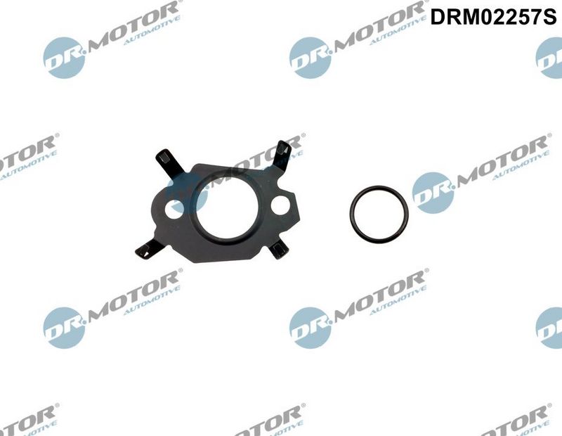 Dichtungssatz AGR-System Dr.Motor Automotive DRM02257S