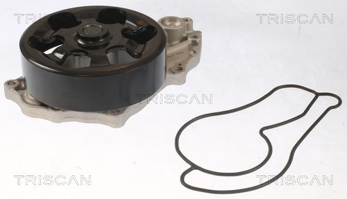 Wasserpumpe TRISCAN 8600 40022