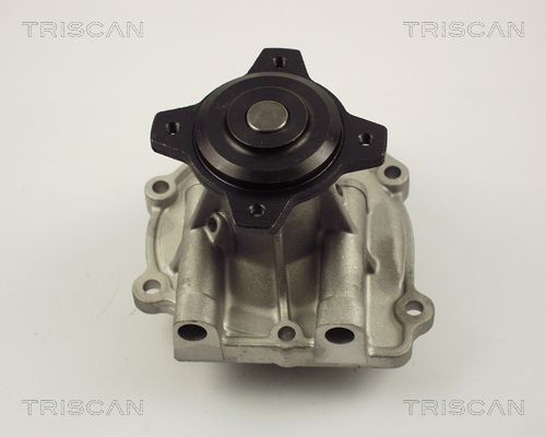 Wasserpumpe TRISCAN 8600 69003