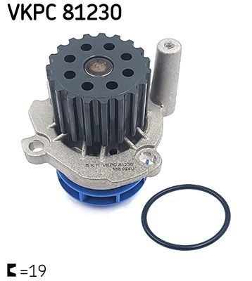Wasserpumpe, Motorkühlung SKF VKPC81230