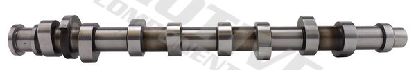 Nockenwelle motive T2184