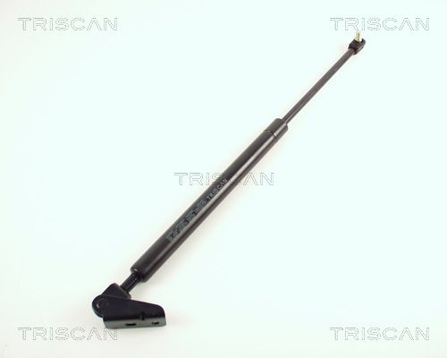 Heckklappendämpfer TRISCAN 8710 50209