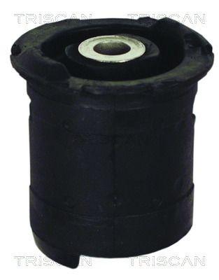 Lagerung, Achskörper TRISCAN 850011823