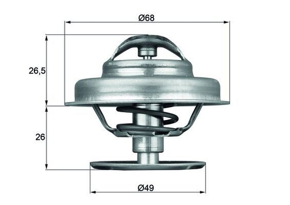 Thermostat, Kühlmittel MAHLE TX6289
