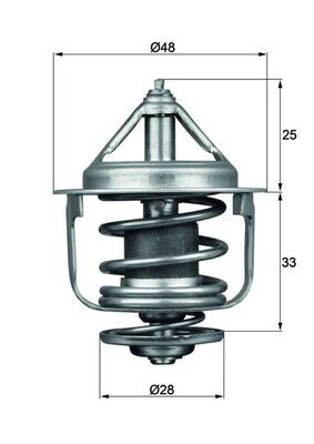 Kühlwasserthermostat MAHLE TX 87 77D
