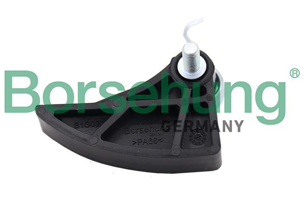 Kettenspanner, Ölpumpenantrieb BORSEHUNG B1G030