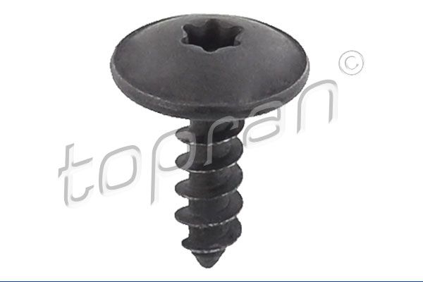 Schraube TOPRAN 114 393