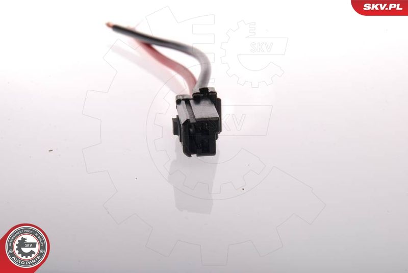 Kraftstoffpumpe ESEN SKV 02SKV205
