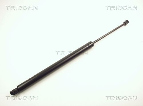 Heckklappendämpfer TRISCAN 8710 10200