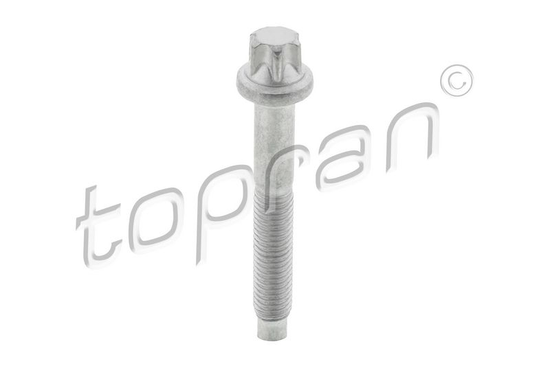 Schraube, Einspritzdüsenhalter TOPRAN 306 289