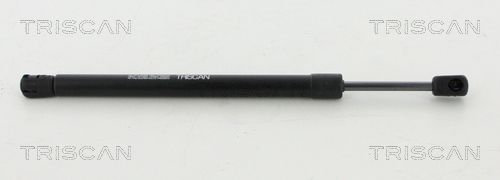 Heckklappendämpfer TRISCAN 8710 292043