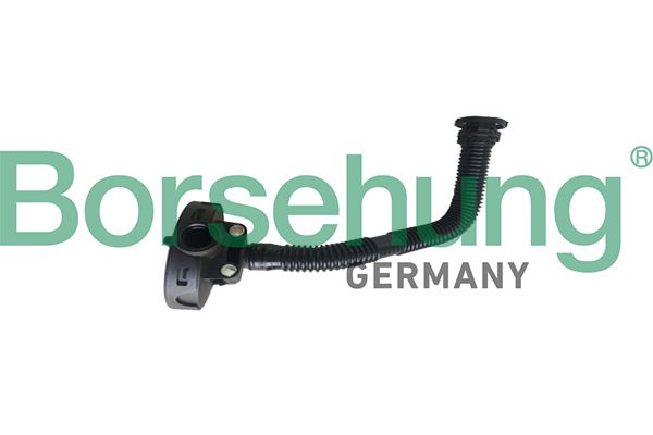 Ventil, Kurbelgehäuseentlüftung BORSEHUNG B19055