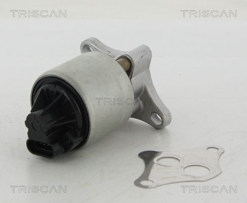 AGR-Ventil TRISCAN 881324004