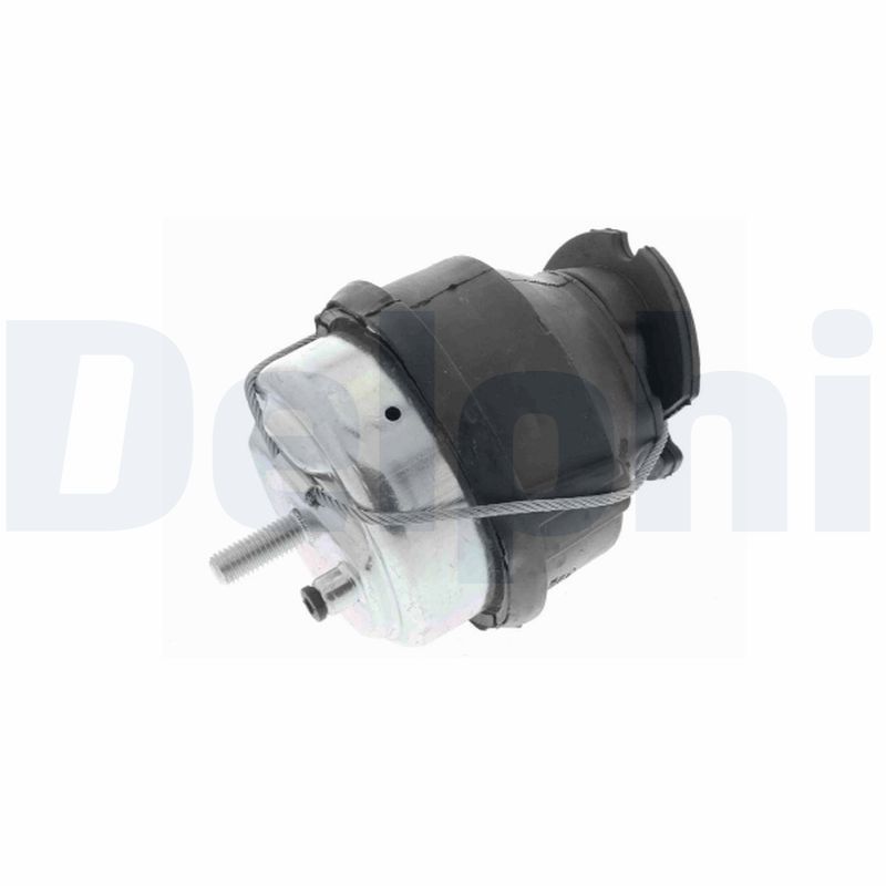 Lagerung, Motor DELPHI TEM248