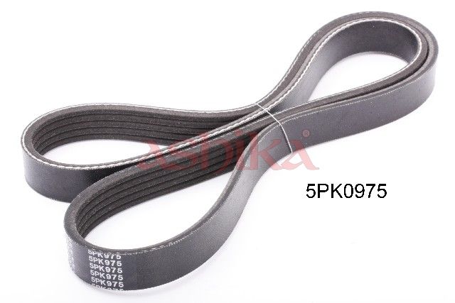 Keilrippenriemen ASHIKA 112-5PK975