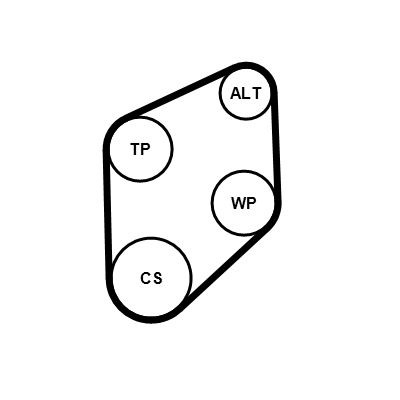 Keilrippenriemensatz CONTINENTAL CTAM 4PK800K1