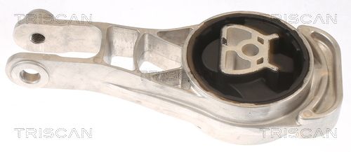 Motorlager TRISCAN 8505 24116