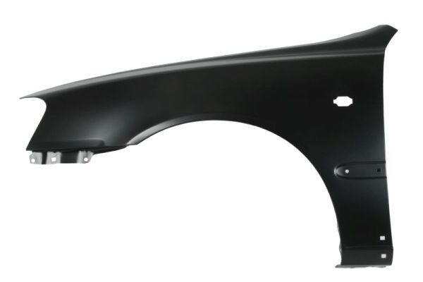 Kotflügel BLIC 6504-04-3155315P