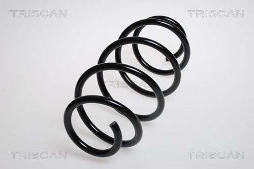 Fahrwerksfeder TRISCAN 875024144