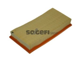 Luftfilter PURFLUX a1004
