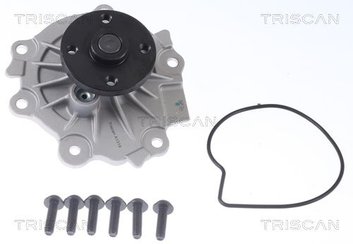 Wasserpumpe TRISCAN 8600 27110