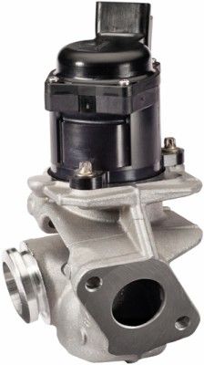 AGR-Ventil HELLA 6NU 010 171-121