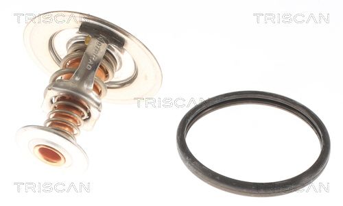 Kühlwasserthermostat TRISCAN 8620 13688