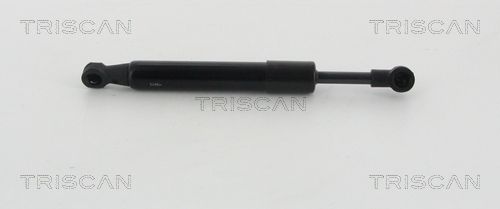 Heckklappendämpfer TRISCAN 8710 20204