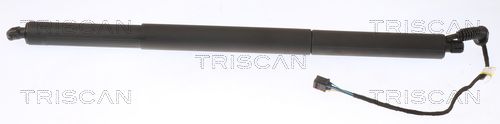 Gasfeder, Koffer-/Laderaum TRISCAN 871029306