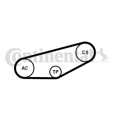 Keilrippenriemensatz CONTINENTAL CTAM 4PK855K1