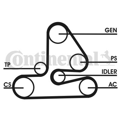 Keilrippenriemensatz CONTINENTAL CTAM 6PK1613D1