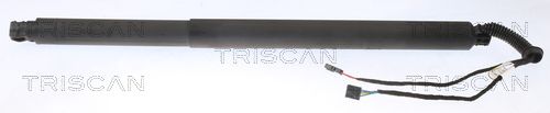 Gasfeder, Koffer-/Laderaum TRISCAN 871029311