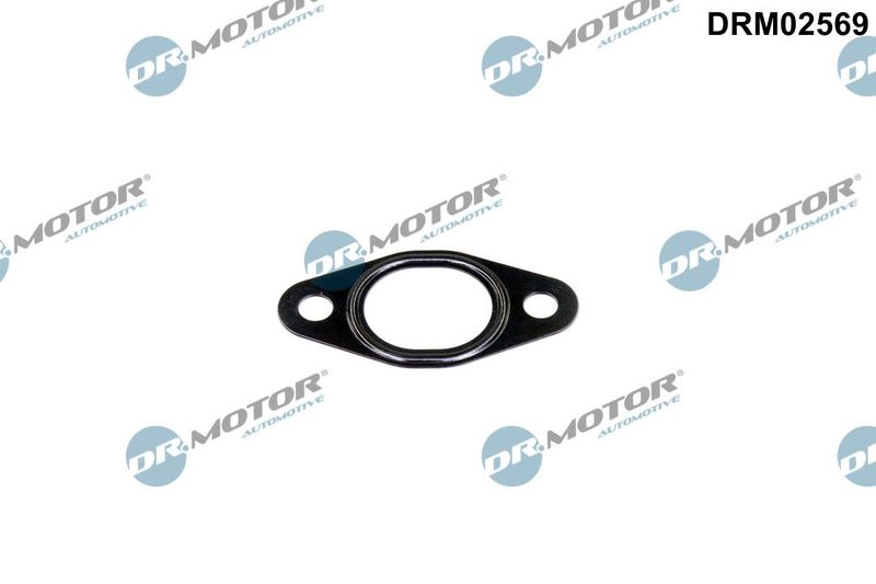 Dichtung Leitung AGR-Ventil Dr.Motor Automotive DRM02569