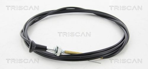 Luftklappenwelle, Vergaser TRISCAN 814091005