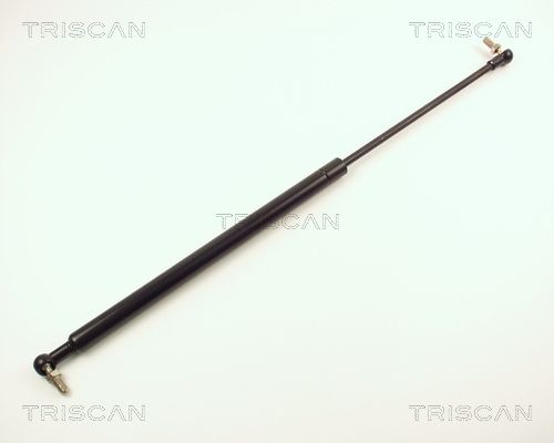 Heckklappendämpfer TRISCAN 8710 14213