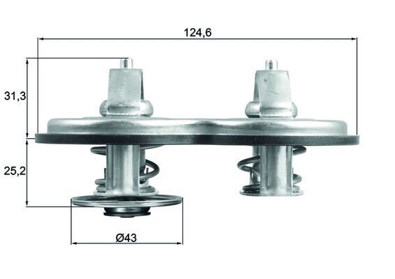 Thermostat, Kühlmittel MAHLE TX14183
