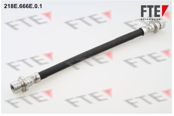 Bremsschlauch FTE 218e.666e.0.1