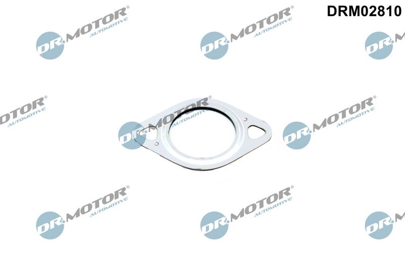 Dichtung Leitung AGR-Ventil Dr.Motor Automotive DRM02810