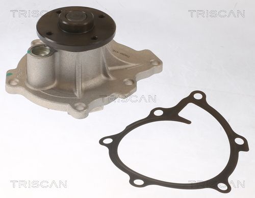 Wasserpumpe TRISCAN 8600 42021