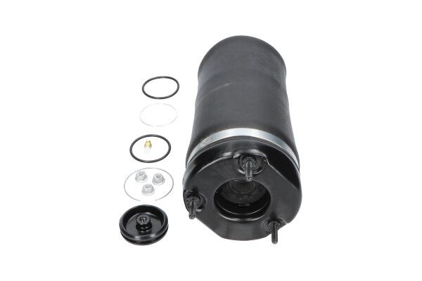 Luftfeder, Fahrwerk KAVO PARTS SAS-10031