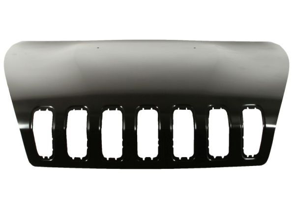Motorhaube BLIC 6803-00-3206281AP